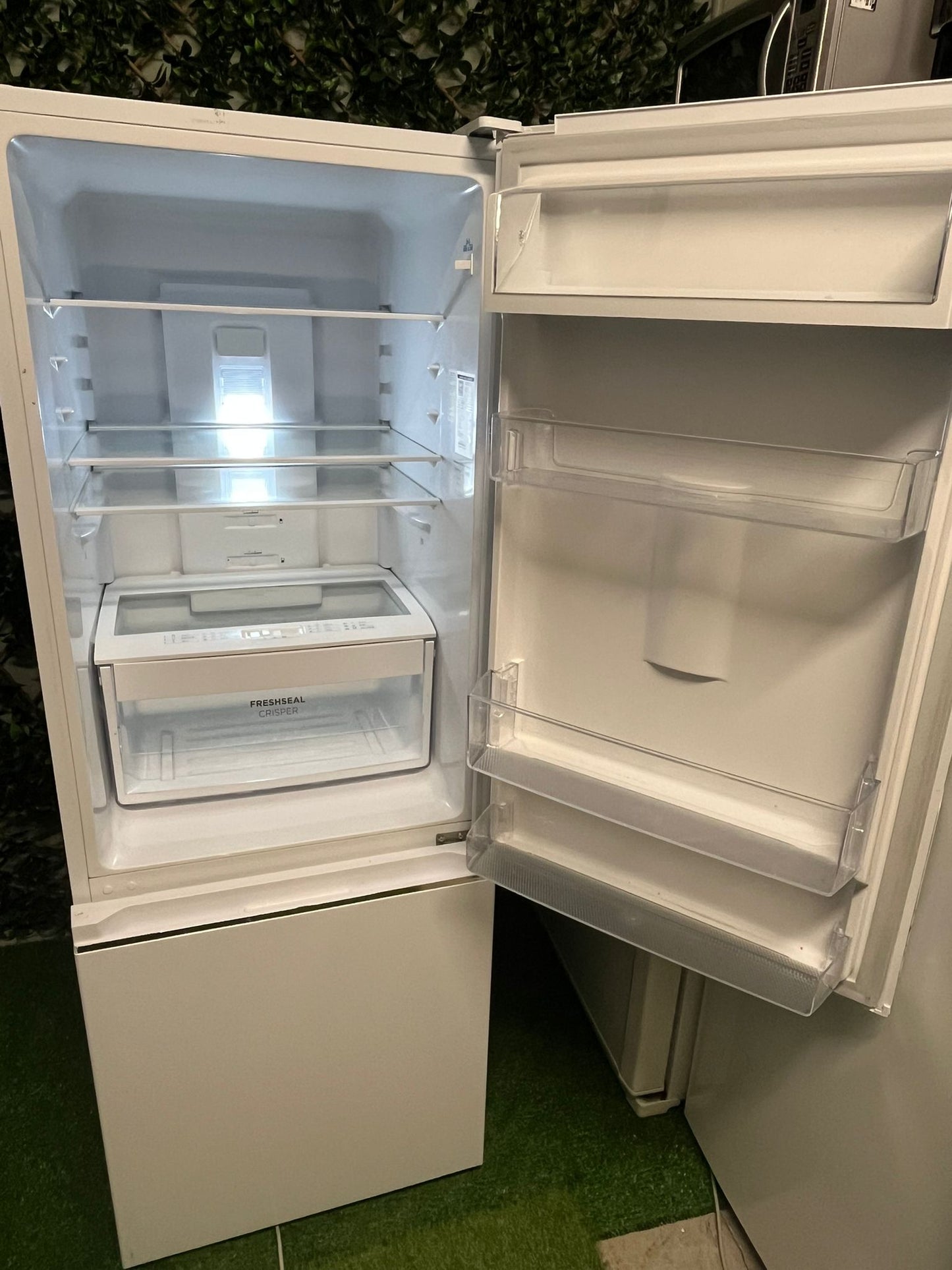 Mashiguous Fridge: Ultimate Crispness & Energy Efficiency ✨