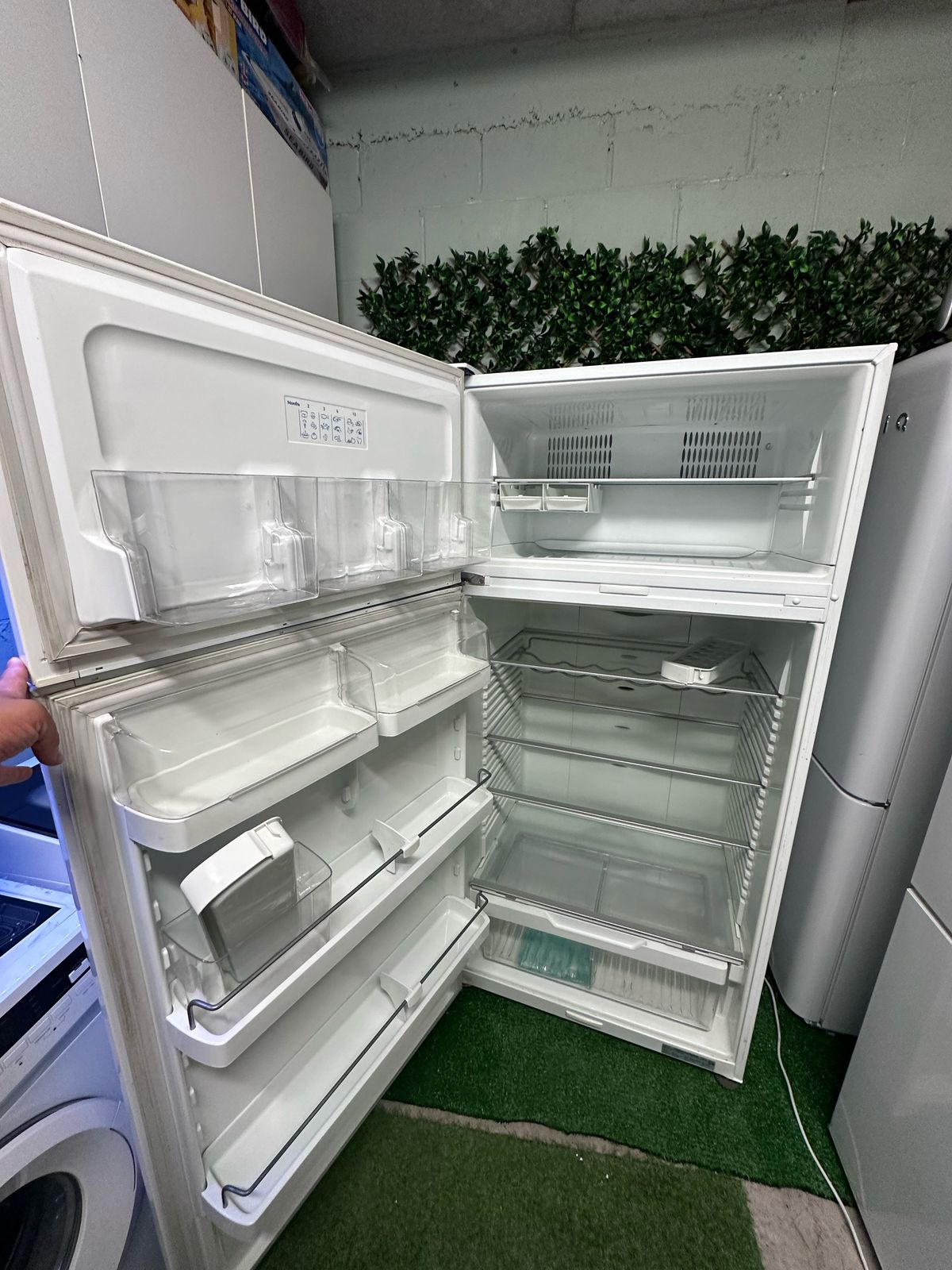 Fisher & Paykel Top Mount Fridge – 517L Capacity