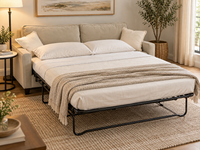 Sofa Bed / Pull-Out Sleeper Sofa